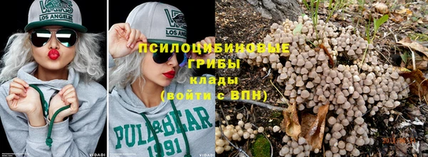 круглые Алзамай