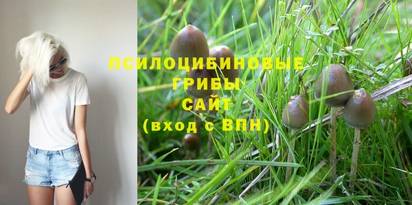 бошки Алексеевка
