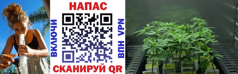 продажа наркотиков  Харабали  Бошки Шишки марихуана 